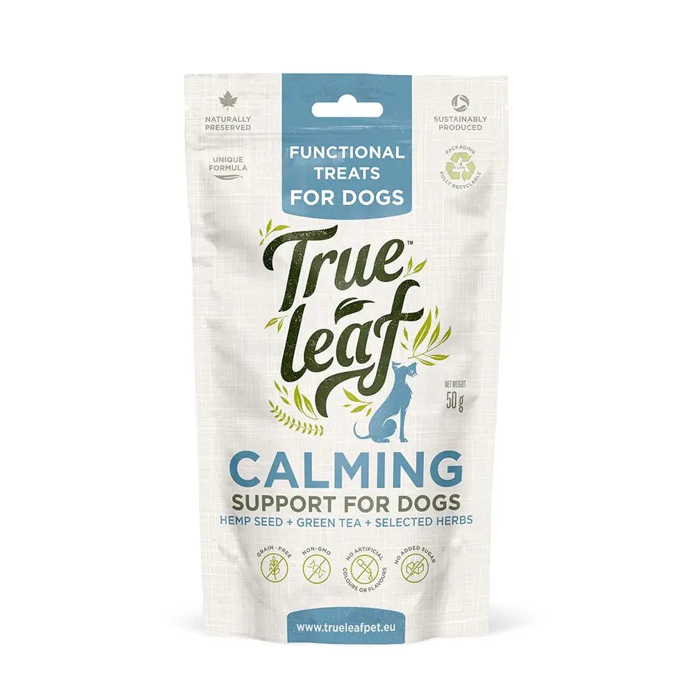 Calming herbs 2024 for dogs