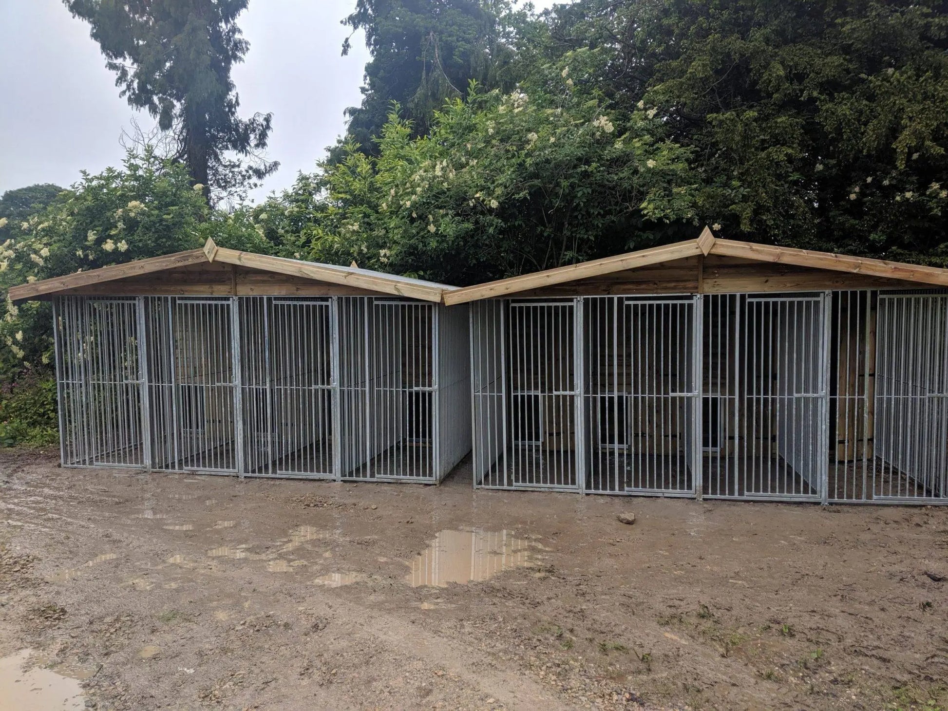 13 X 12 ft Four Bay Kennel Doghealth