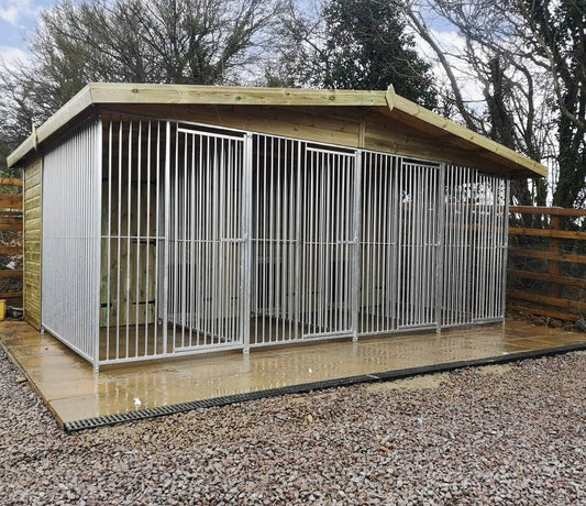 16 X 8 ft Four Bay Dog Kennel Doghealth