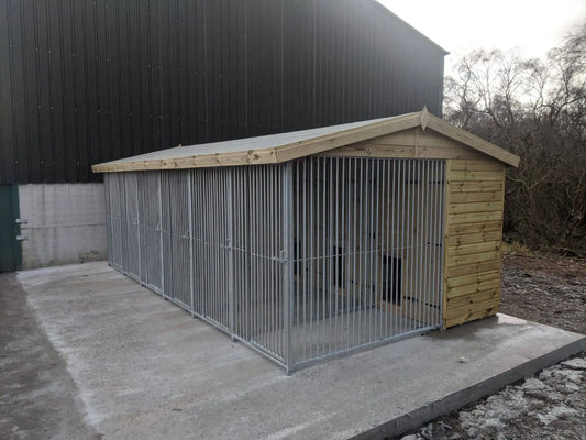 20 X 10 ft Six Bay Dog Kennel Doghealth