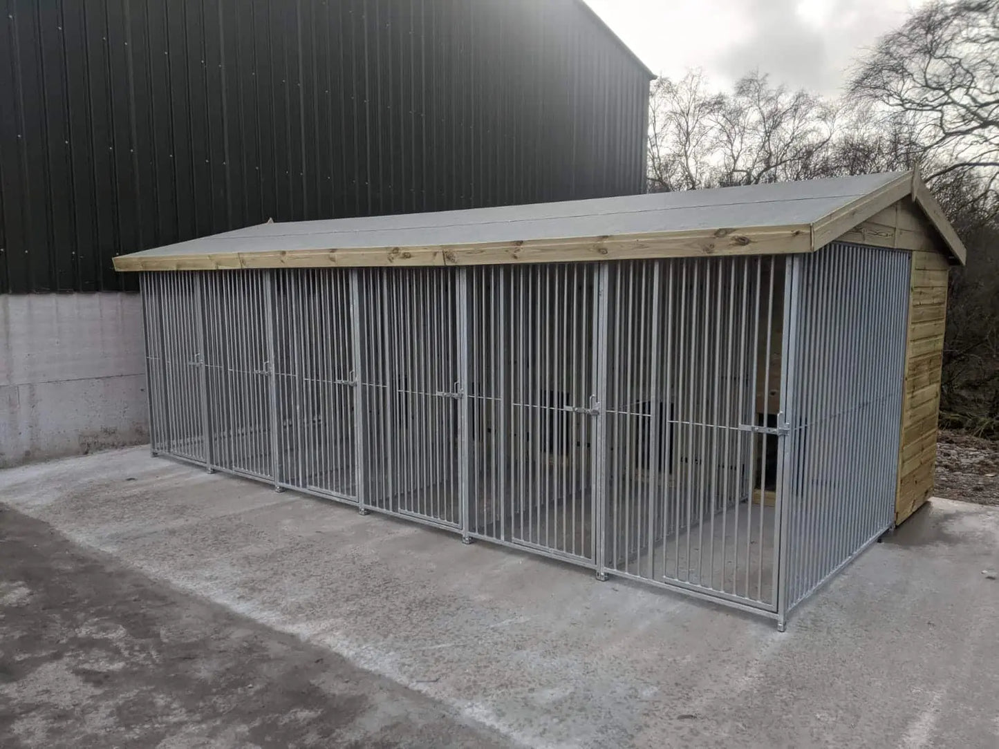 20 X 12 ft Six Bay Dog Kennel Doghealth