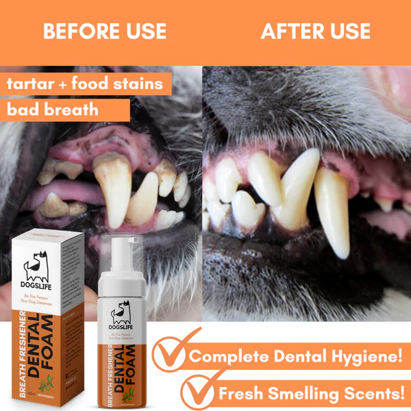 DOGSLIFE Breath Freshener Dental Foam For Dogs - 150ml