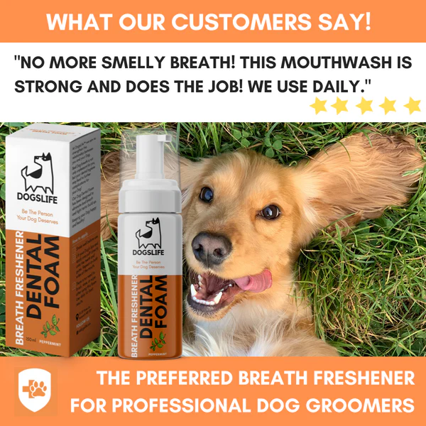 DOGSLIFE Breath Freshener Dental Foam For Dogs - 150ml