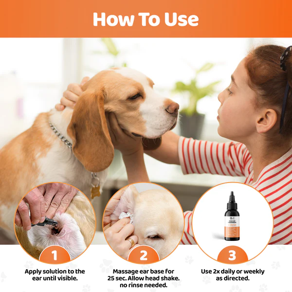 DOGSLIFE Dog Ear Infection Treatment Drops - 100ml