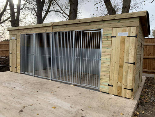 19 X 4 ft Pent Duo Kennel Doghealth