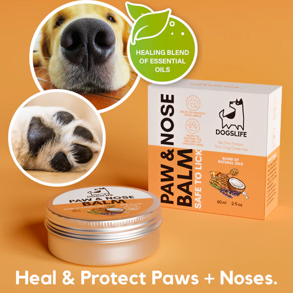 DOGSLIFE Protective Paw & Nose Balm