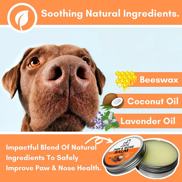 DOGSLIFE Protective Paw & Nose Balm