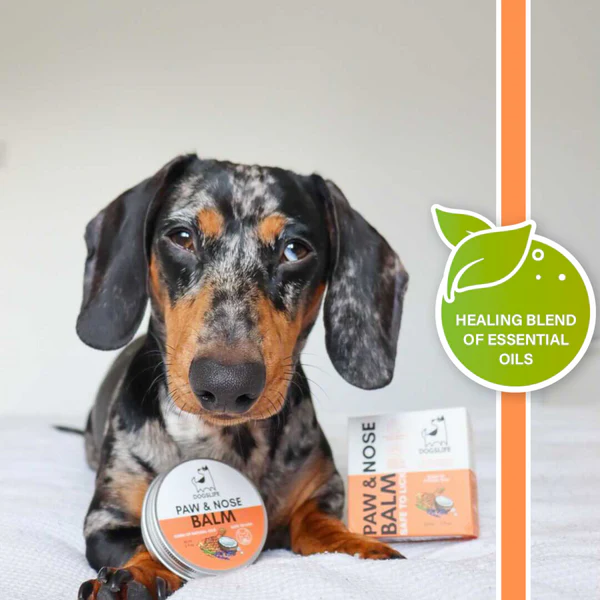 DOGSLIFE Protective Paw & Nose Balm